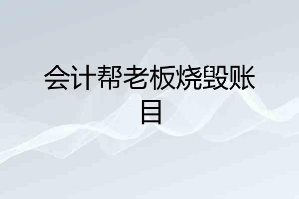 会计帮老板烧毁账目