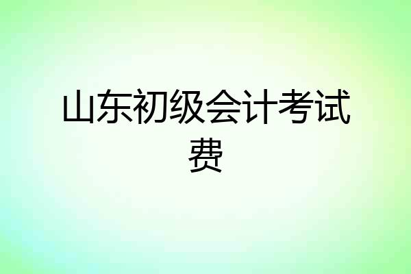 山东初级会计考试费