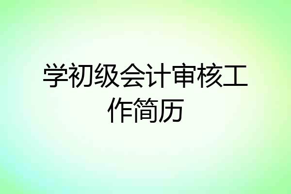 学初级会计审核工作简历