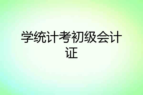学统计考初级会计证
