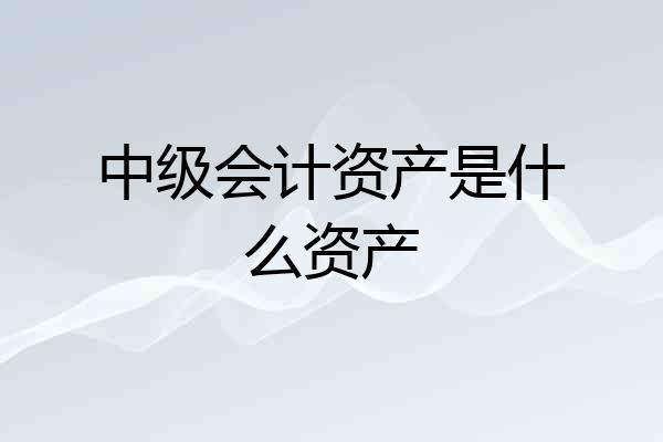 中级会计资产是什么资产