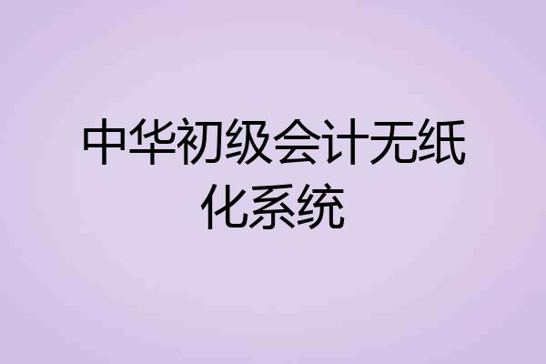 中华初级会计无纸化系统