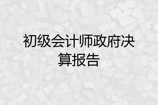 初级会计师政府决算报告