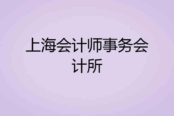 上海会计师事务会计所