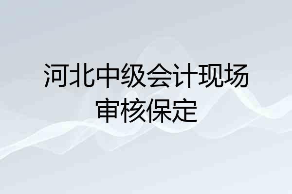 河北中级会计现场审核保定