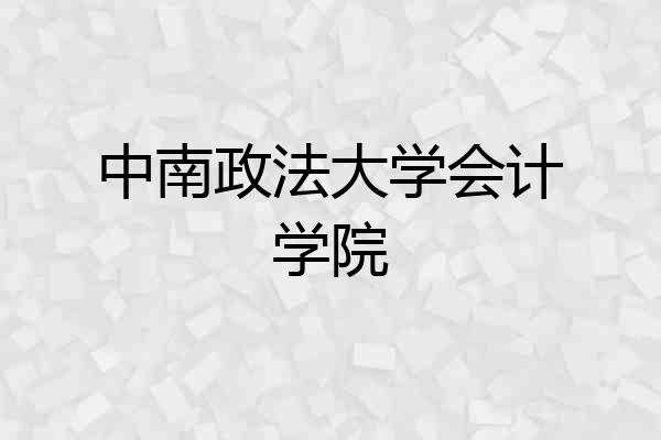 中南政法大学会计学院