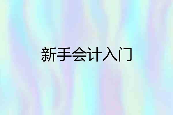 新手会计入门