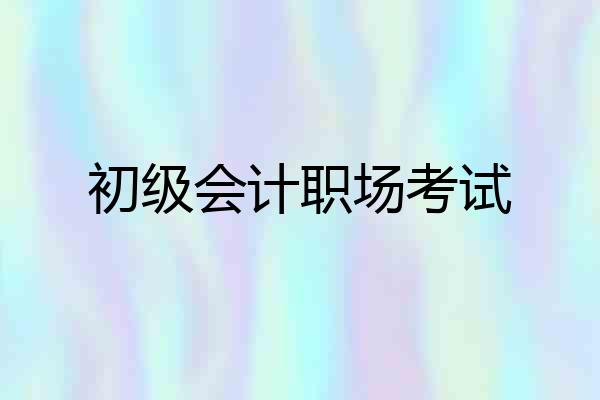 初级会计职场考试
