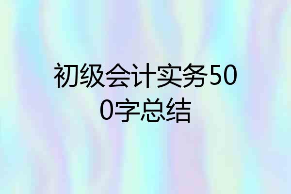 初级会计实务500字总结