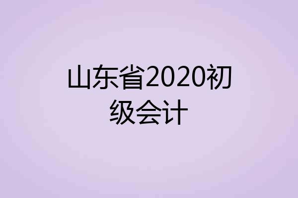 山东省2020初级会计