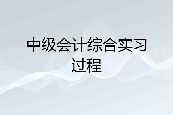 中级会计综合实习过程