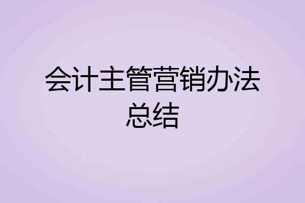 会计主管营销办法总结