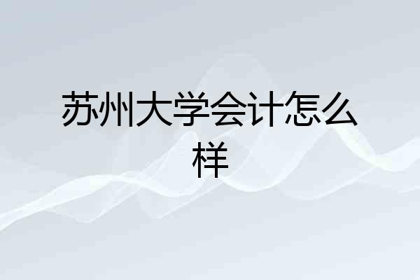 苏州大学会计怎么样