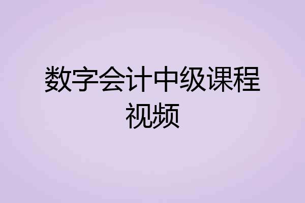数字会计中级课程视频