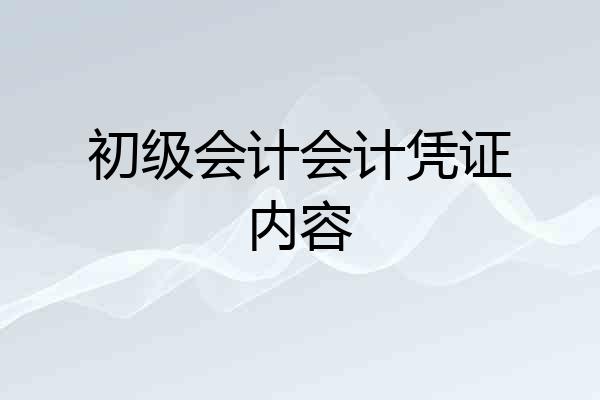 初级会计会计凭证内容