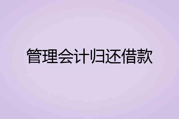 管理会计归还借款
