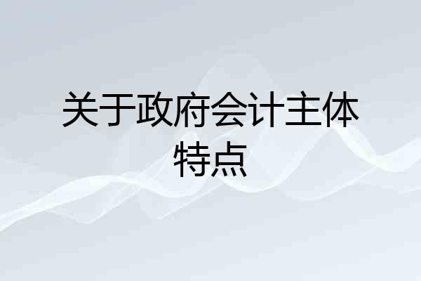 关于政府会计主体特点