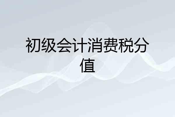 初级会计消费税分值
