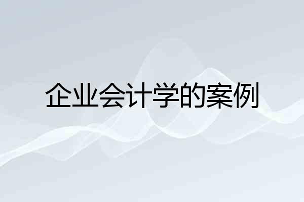 企业会计学的案例
