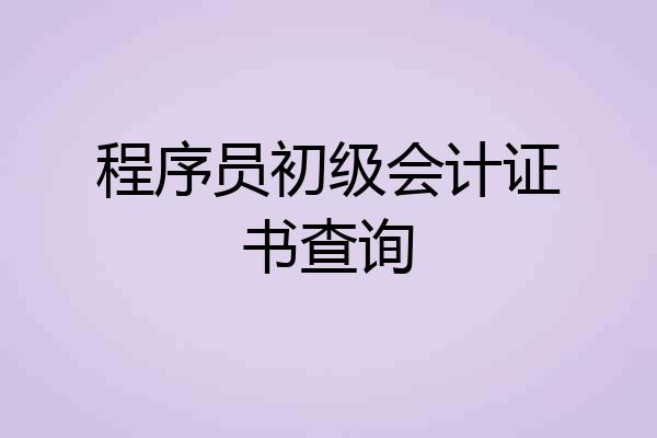 程序员初级会计证书查询