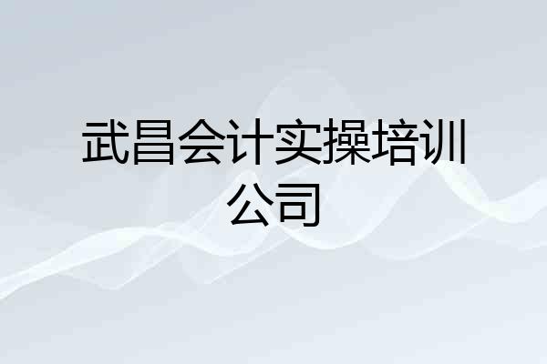 武昌会计实操培训公司