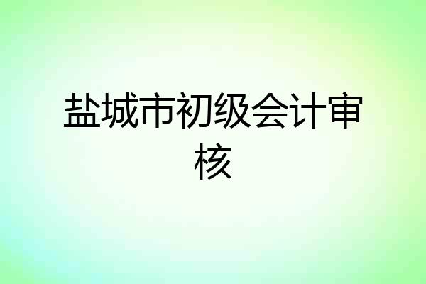 盐城市初级会计审核