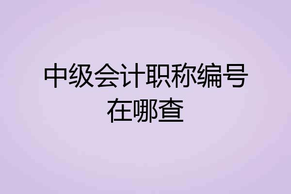 中级会计职称编号在哪查