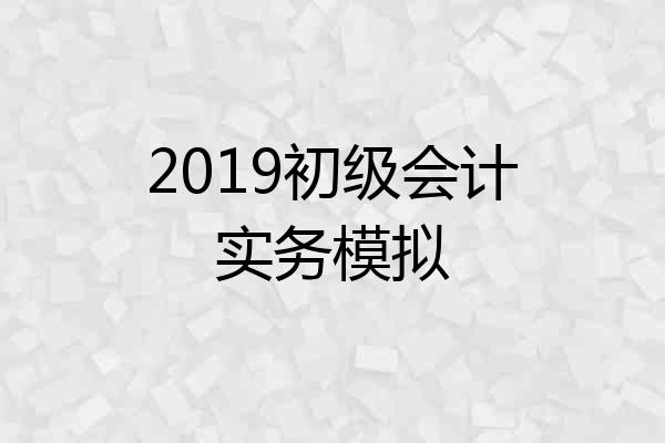 2019初级会计实务模拟