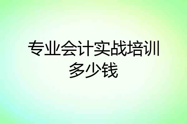 专业会计实战培训多少钱