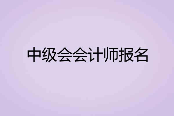 中级会会计师报名