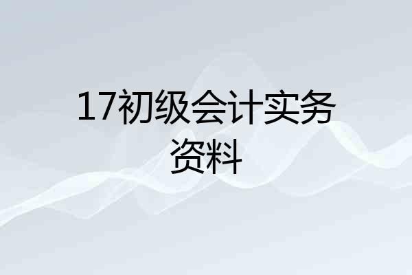 17初级会计实务资料