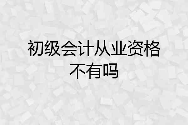 初级会计从业资格不有吗