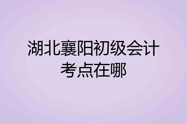 湖北襄阳初级会计考点在哪