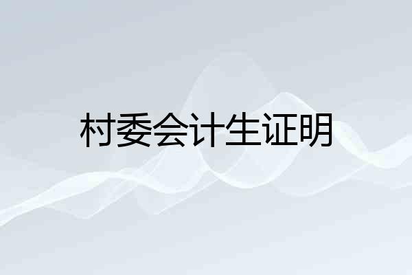 村委会计生证明