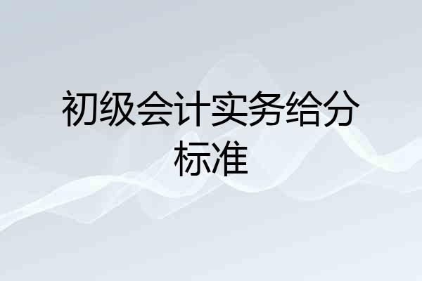 初级会计实务给分标准