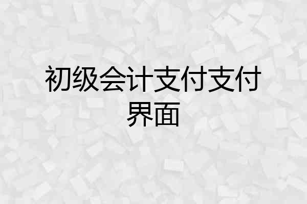 初级会计支付支付界面