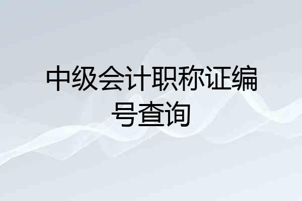 中级会计职称证编号查询