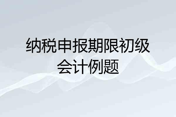 纳税申报期限初级会计例题