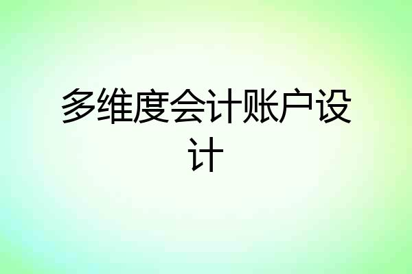 多维度会计账户设计