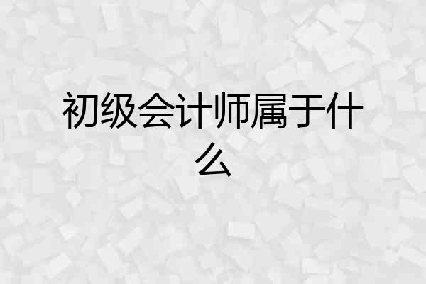初级会计师属于什么