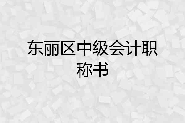 东丽区中级会计职称书