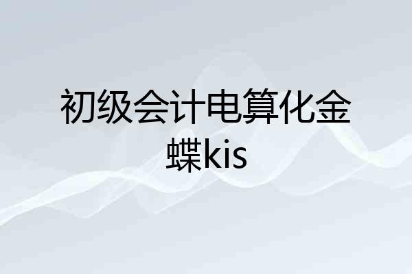 初级会计电算化金蝶kis