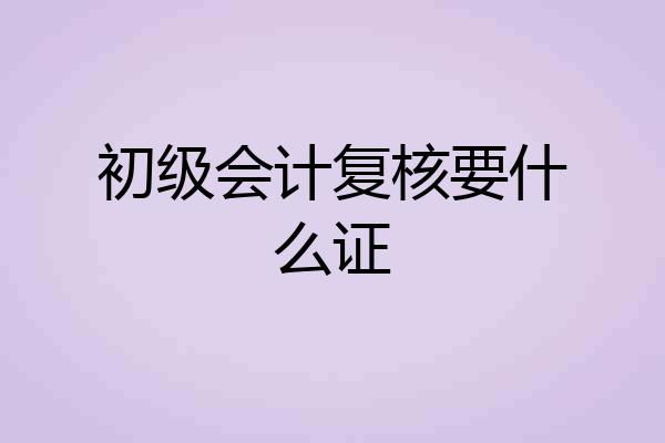 初级会计复核要什么证