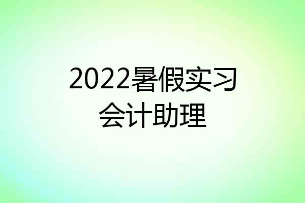 2022暑假实习会计助理