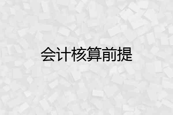 会计核算前提