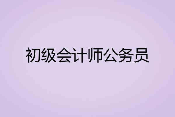 初级会计师公务员