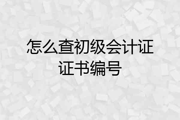 怎么查初级会计证证书编号