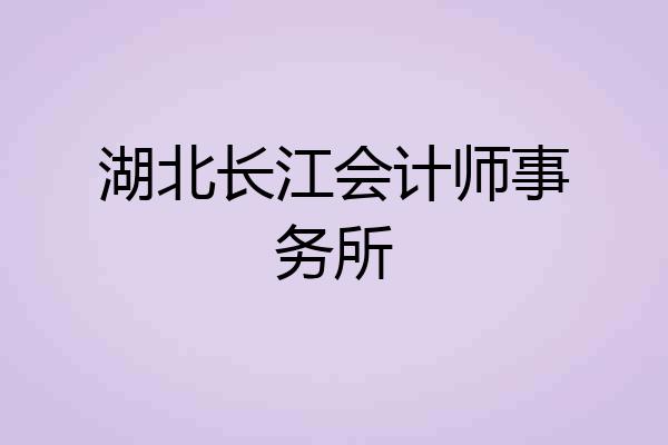 湖北长江会计师事务所
