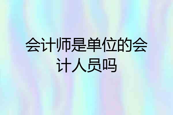 会计师是单位的会计人员吗