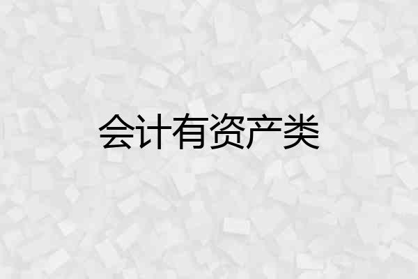 会计有资产类